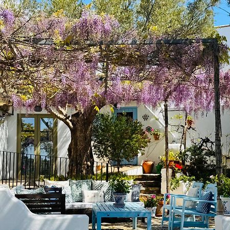 オルヒバ Almond Hill Houseヴィラ エクステリア 写真