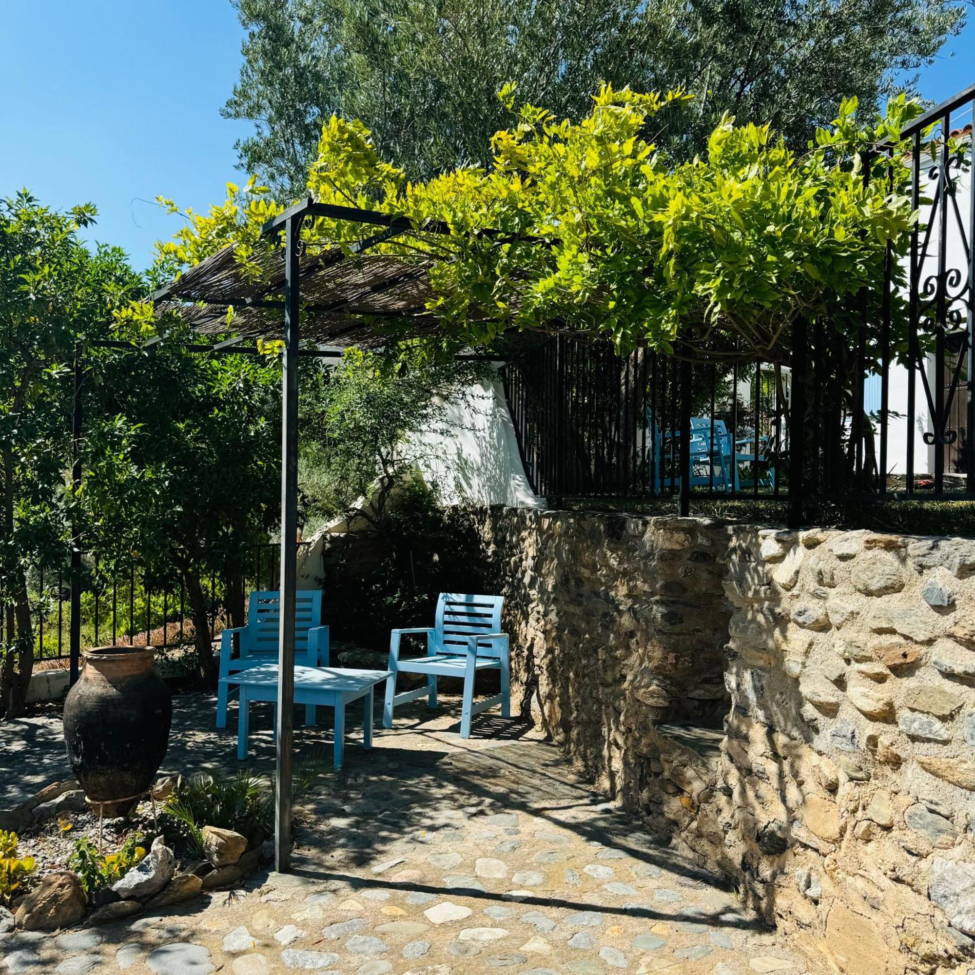 オルヒバ Almond Hill Houseヴィラ エクステリア 写真