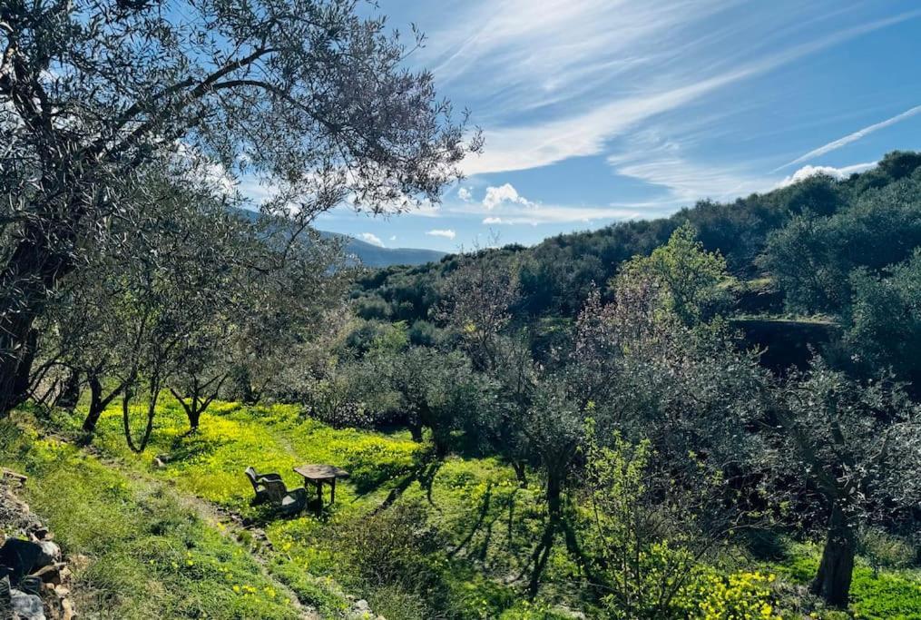 オルヒバ Almond Hill Houseヴィラ エクステリア 写真