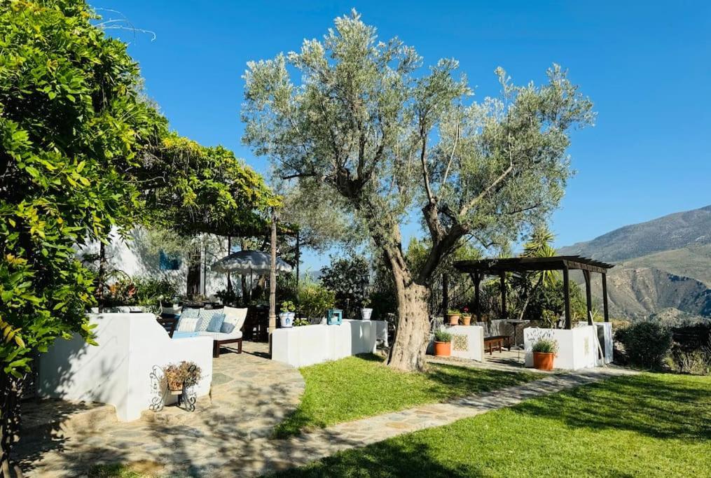オルヒバ Almond Hill Houseヴィラ エクステリア 写真