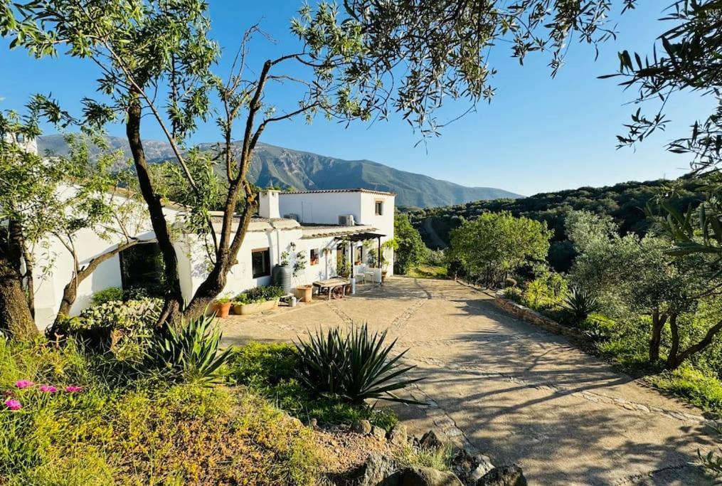 オルヒバ Almond Hill Houseヴィラ エクステリア 写真