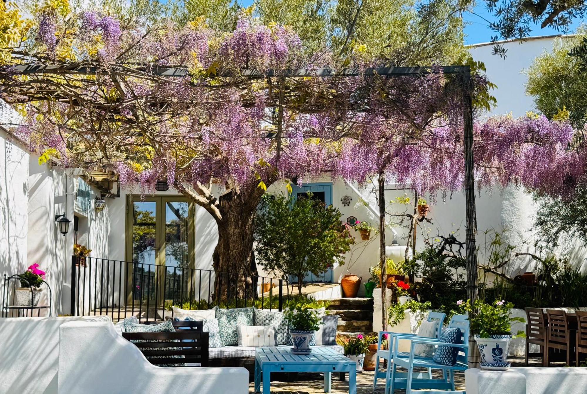 オルヒバ Almond Hill Houseヴィラ エクステリア 写真